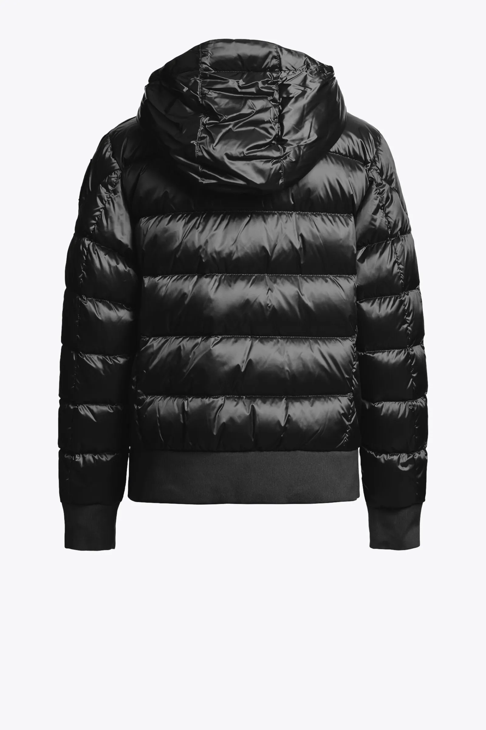 PHARRELL - BOMBER À CAPUCHE*Parajumpers