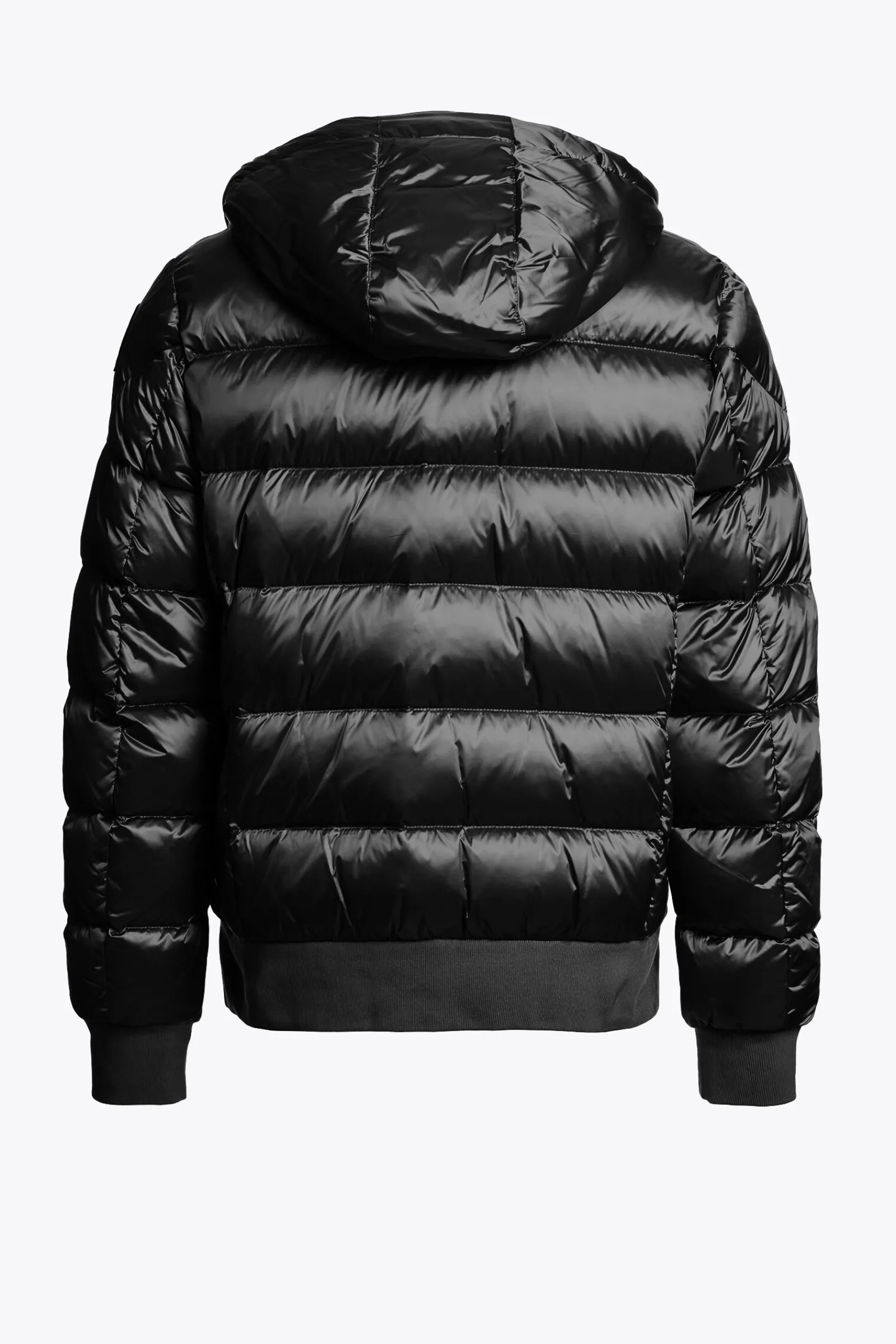 PHARRELL - BOMBER À CAPUCHE*Parajumpers New